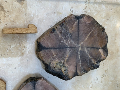 Andalousite/ Chiastolite, 5 pièces au choix dont 4 sciés avec une croix naturelle ! Protection, ancrage, transmutation, harmonie et plus encore !