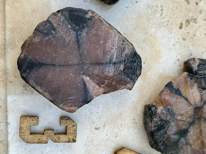 Andalousite/ Chiastolite, 5 pièces au choix dont 4 sciés avec une croix naturelle ! Protection, ancrage, transmutation, harmonie et plus encore !