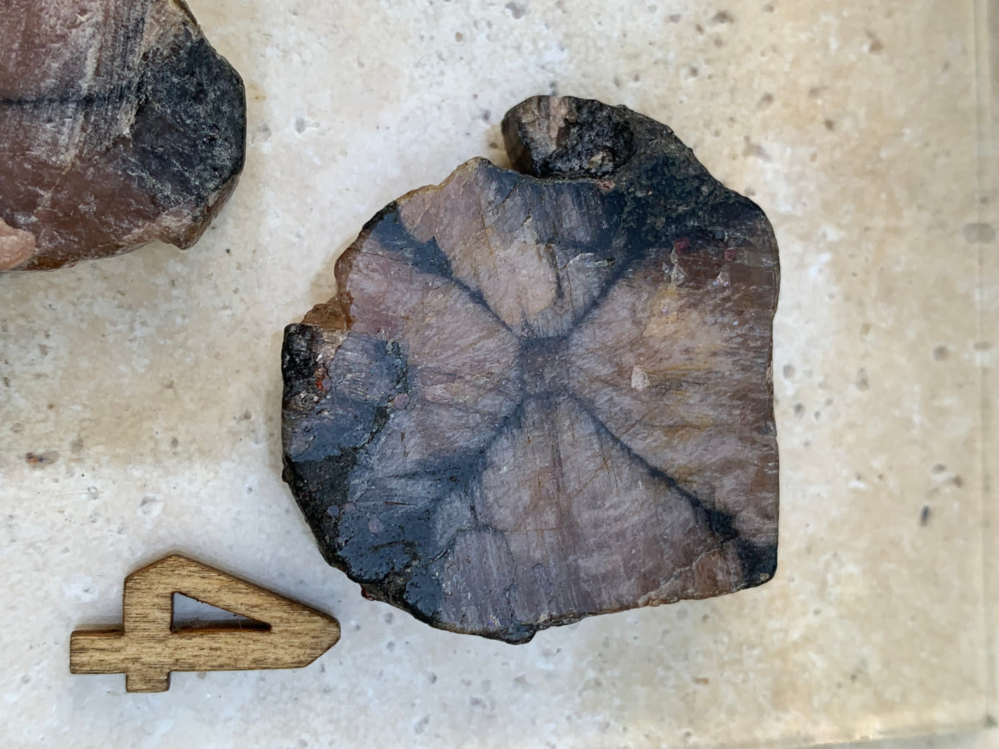 Andalousite/ Chiastolite, 5 pièces au choix dont 4 sciés avec une croix naturelle ! Protection, ancrage, transmutation, harmonie et plus encore !