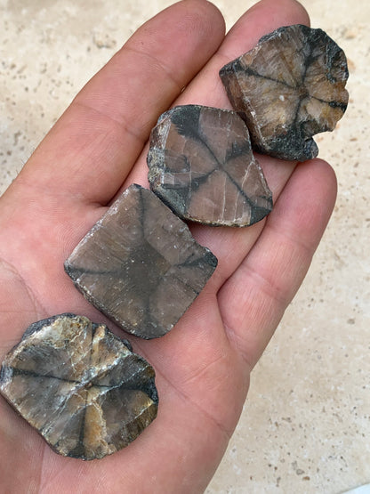 Andalousite/ Chiastolite, 5 pièces au choix dont 4 sciés avec une croix naturelle ! Protection, ancrage, transmutation, harmonie et plus encore !