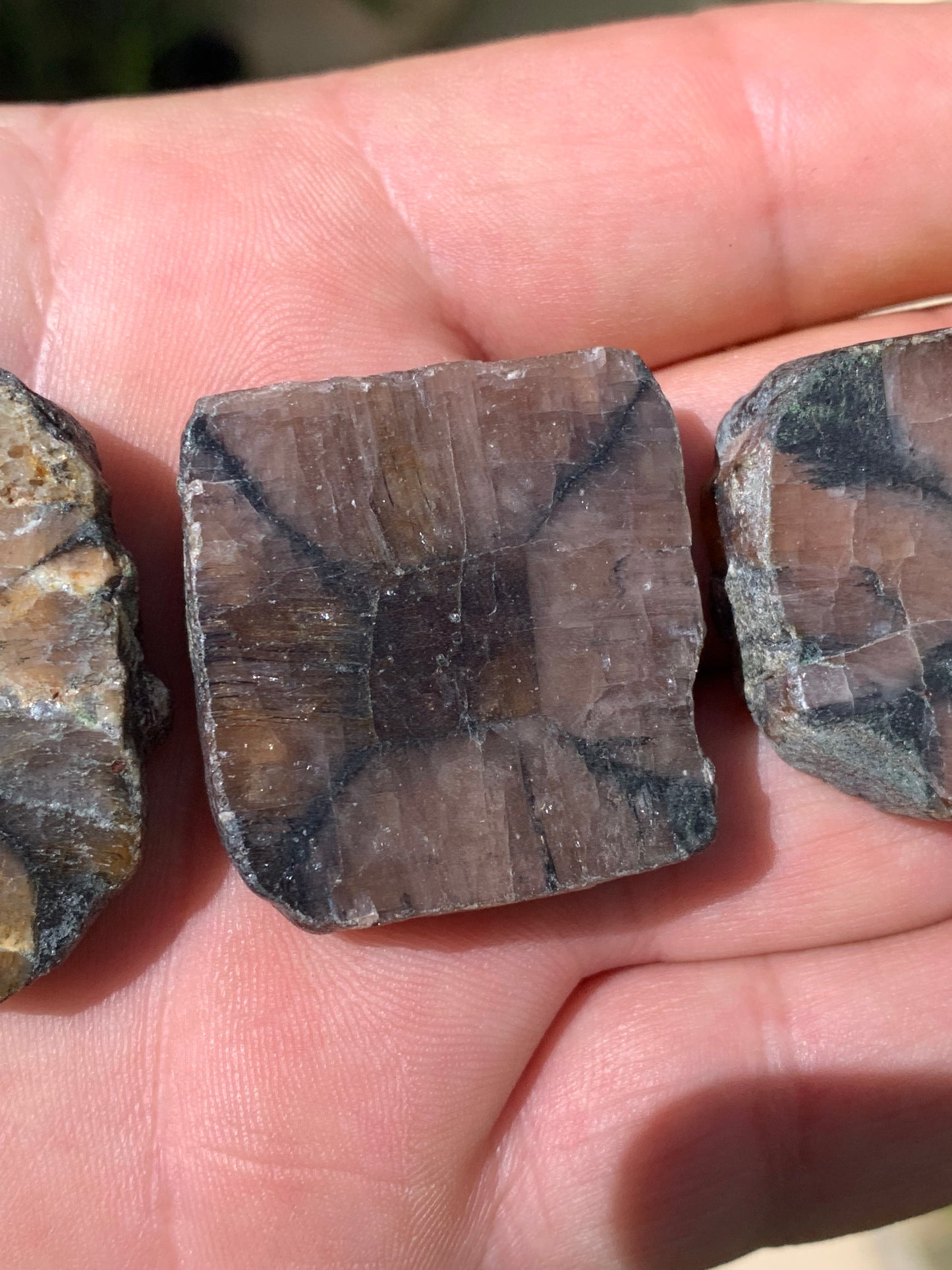 Andalousite/ Chiastolite, 5 pièces au choix dont 4 sciés avec une croix naturelle ! Protection, ancrage, transmutation, harmonie et plus encore !