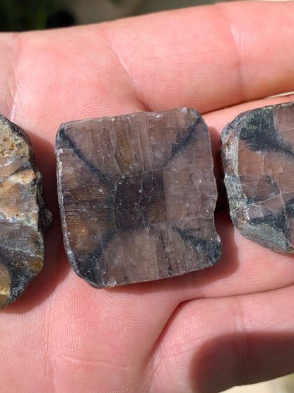 Andalousite/ Chiastolite, 5 pièces au choix dont 4 sciés avec une croix naturelle ! Protection, ancrage, transmutation, harmonie et plus encore !