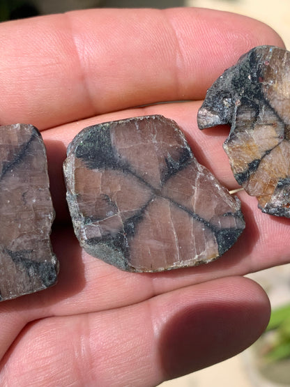 Andalousite/ Chiastolite, 5 pièces au choix dont 4 sciés avec une croix naturelle ! Protection, ancrage, transmutation, harmonie et plus encore !