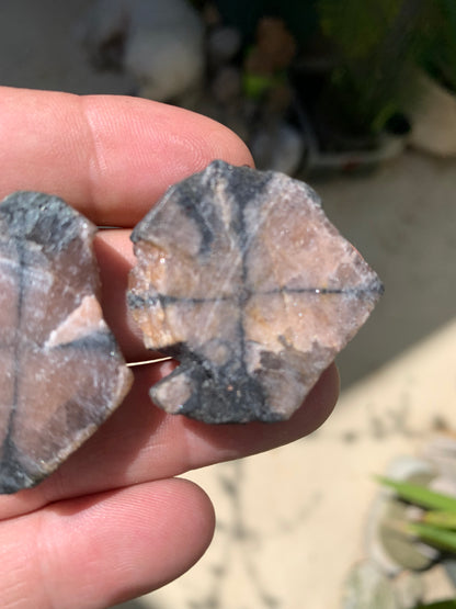 Andalousite/ Chiastolite, 5 pièces au choix dont 4 sciés avec une croix naturelle ! Protection, ancrage, transmutation, harmonie et plus encore !