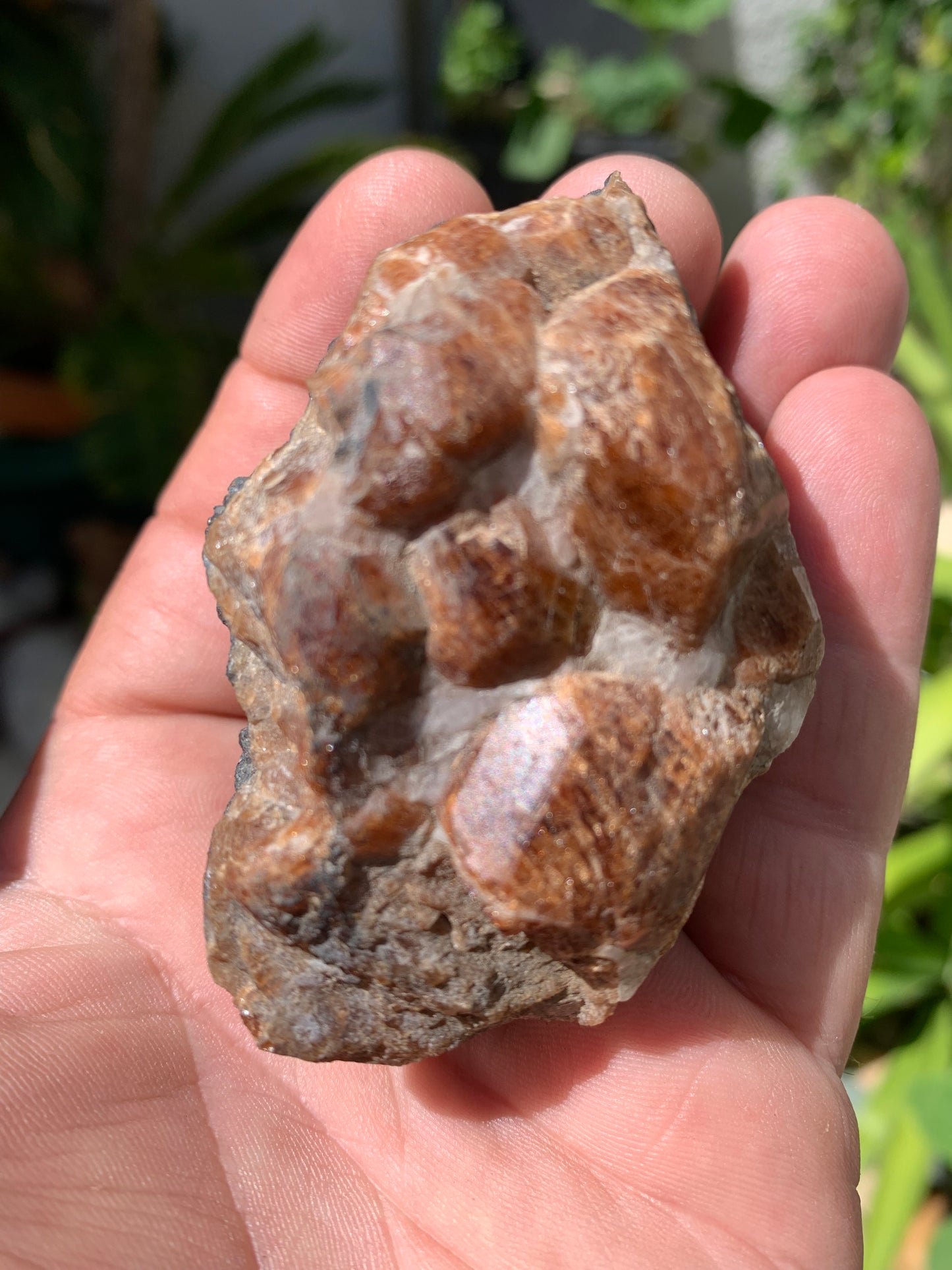 Andalousite/ Chiastolite, 5 pièces au choix dont 4 sciés avec une croix naturelle ! Protection, ancrage, transmutation, harmonie et plus encore !