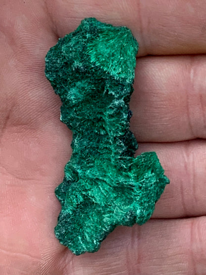 Malachite fibreuse, spécimen brut du Congo de 22,3 grammes. Parfait pour une collection ou la bijouterie, du velour naturel !