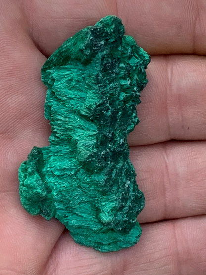 Malachite fibreuse, spécimen brut du Congo de 22,3 grammes. Parfait pour une collection ou la bijouterie, du velour naturel !