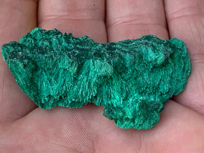 Malachite fibreuse, spécimen brut du Congo de 22,3 grammes. Parfait pour une collection ou la bijouterie, du velour naturel !