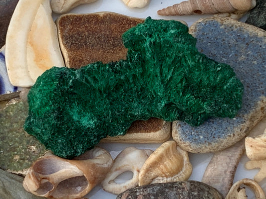Malachite fibreuse, spécimen brut du Congo de 22,3 grammes. Parfait pour une collection ou la bijouterie, du velour naturel !
