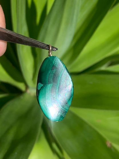 Malachite, pendentif en perle, de 35mm de hauteur x 17 de largeur x 5 d'épaisseur. Vendu avec cordon réglable de couleur noire offert !