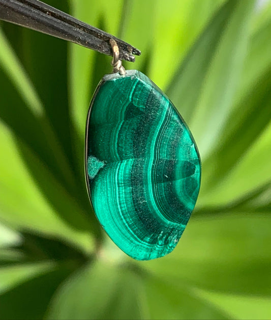 Malachite, pendentif en perle, de 35mm de hauteur x 17 de largeur x 5 d'épaisseur. Vendu avec cordon réglable de couleur noire offert !