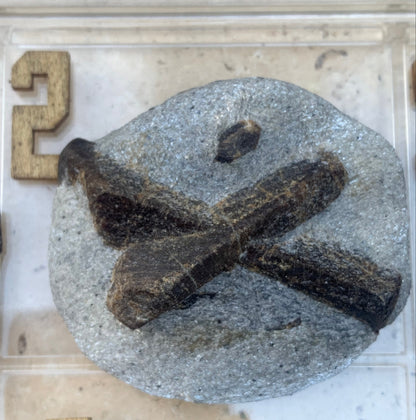 Staurolite/staurolite, pieces of your choice, magnificent specimens with a natural cross. Originating from Russia or France!