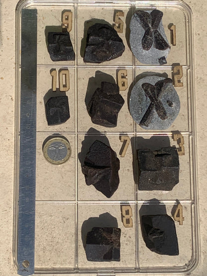 Staurolite/staurolite, pieces of your choice, magnificent specimens with a natural cross. Originating from Russia or France!
