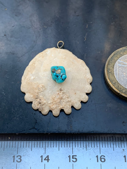 Oursin avec Turquoise, pendentif de 30x27x8 millimètres - 2,9 gr. Vendu avec cordon noir réglable offert, parfait !
