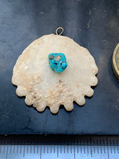 Oursin avec Turquoise, pendentif de 30x27x8 millimètres - 2,9 gr. Vendu avec cordon noir réglable offert, parfait !