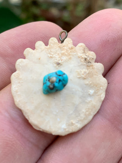 Oursin avec Turquoise, pendentif de 30x27x8 millimètres - 2,9 gr. Vendu avec cordon noir réglable offert, parfait !