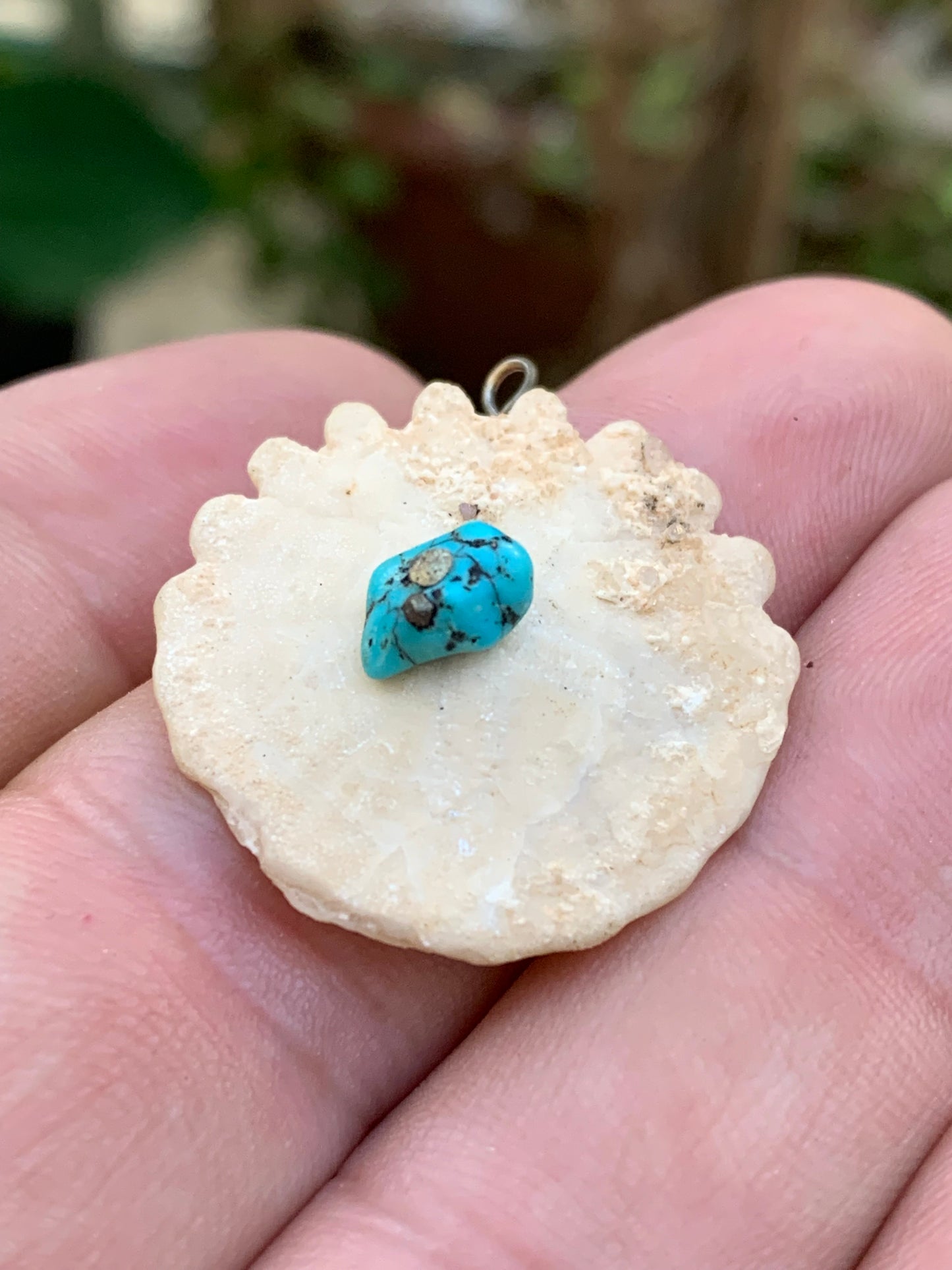 Oursin avec Turquoise, pendentif de 30x27x8 millimètres - 2,9 gr. Vendu avec cordon noir réglable offert, parfait !