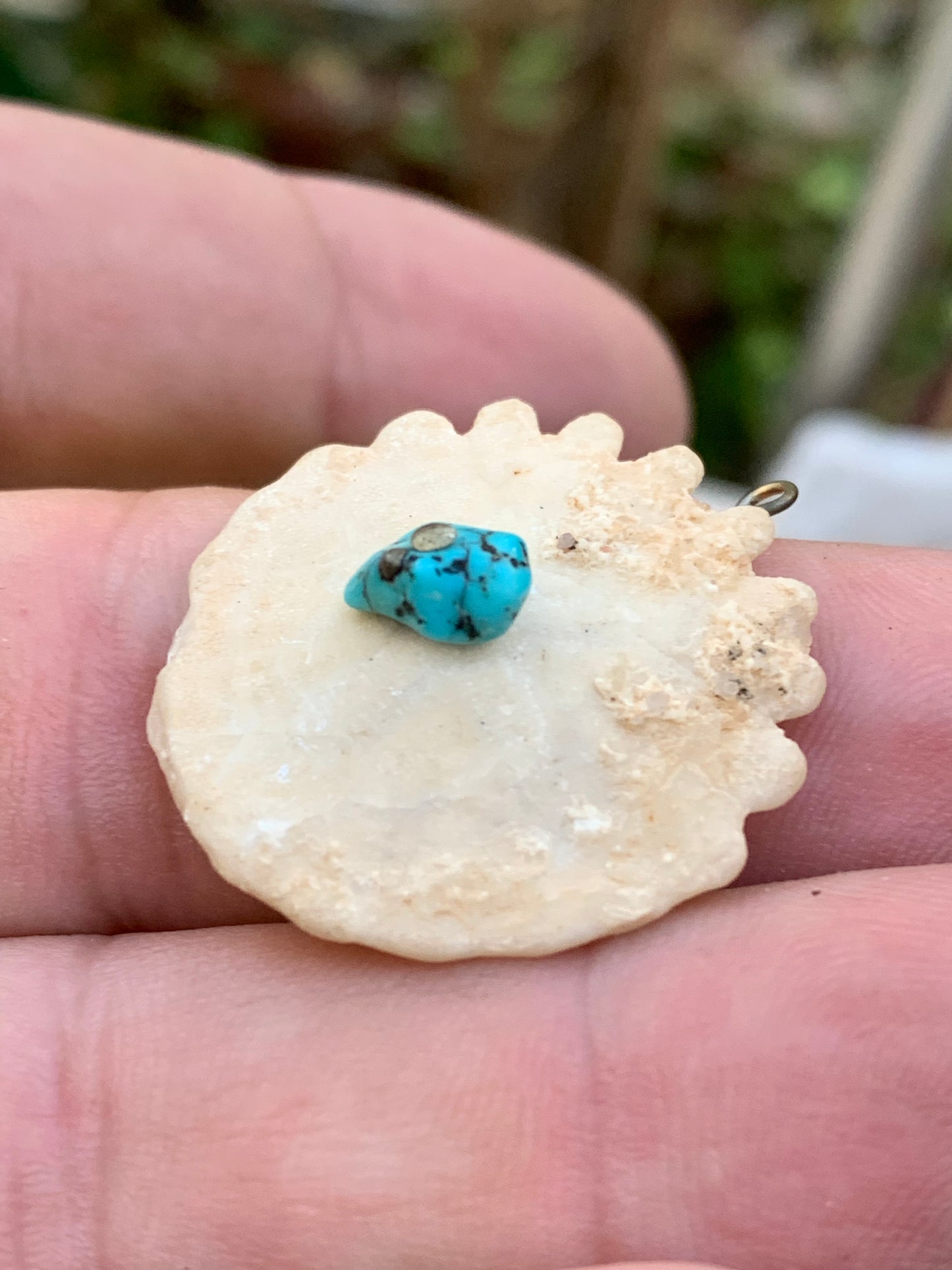 Oursin avec Turquoise, pendentif de 30x27x8 millimètres - 2,9 gr. Vendu avec cordon noir réglable offert, parfait !