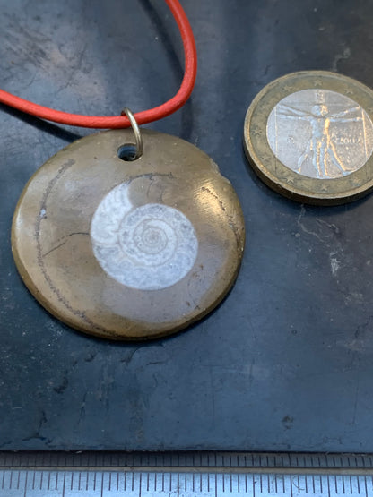 Ammonite fossile dans grès rouge (Usa), pendentif de 33 millimètres x 6. Vendu avec cordon noir et réglable de 60 cm !