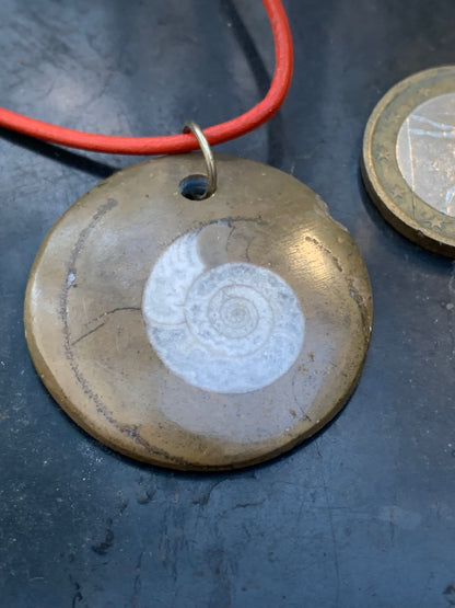 Ammonite fossile dans grès rouge (Usa), pendentif de 33 millimètres x 6. Vendu avec cordon noir et réglable de 60 cm !