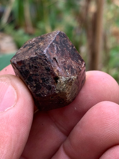 Grenat pyrope, spécimen brut naurel de 30x24x24 mm - 31 gr., très belle pièce, parfait !