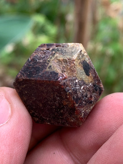 Grenat pyrope, spécimen brut naurel de 30x24x24 mm - 31 gr., très belle pièce, parfait !