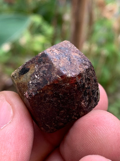 Grenat pyrope, spécimen brut naurel de 30x24x24 mm - 31 gr., très belle pièce, parfait !