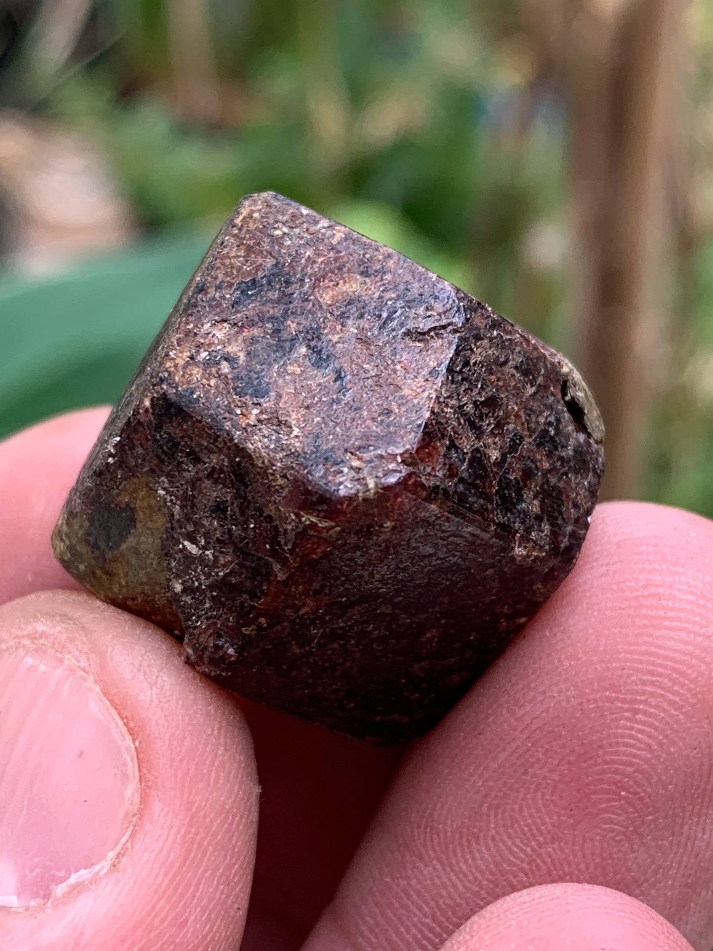 Grenat pyrope, spécimen brut naurel de 30x24x24 mm - 31 gr., très belle pièce, parfait !