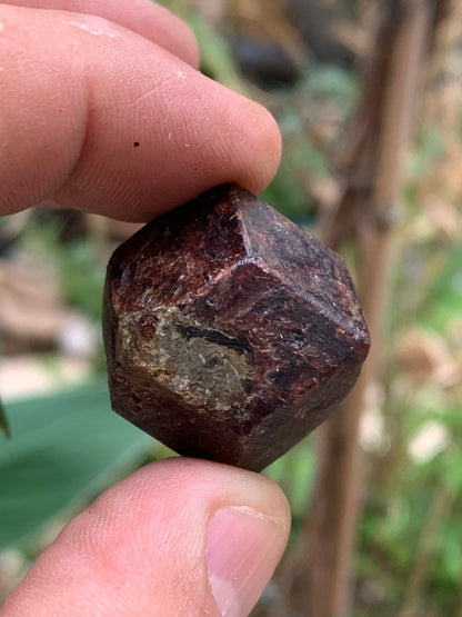 Grenat pyrope, spécimen brut naurel de 30x24x24 mm - 31 gr., très belle pièce, parfait !