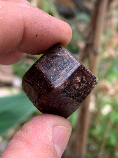 Grenat pyrope, spécimen brut naurel de 30x24x24 mm - 31 gr., très belle pièce, parfait !
