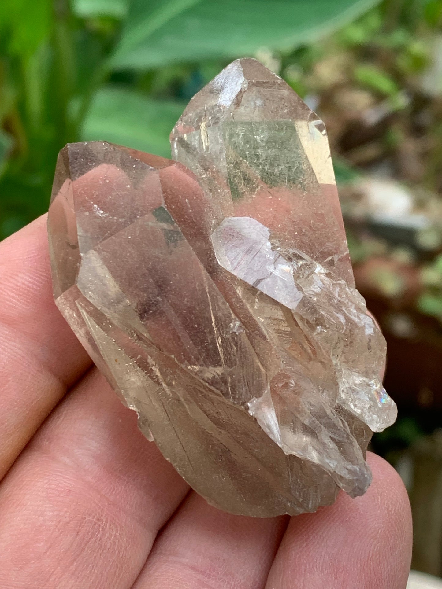 Cristal de roche fumé/ Quartz fumé, pointe naturelle de 60x45x25 mm - 59,2 gr., très belle qualité, très belle pureté !