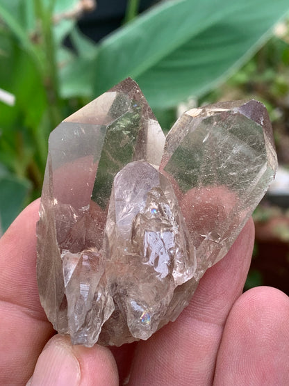 Cristal de roche fumé/ Quartz fumé, pointe naturelle de 60x45x25 mm - 59,2 gr., très belle qualité, très belle pureté !