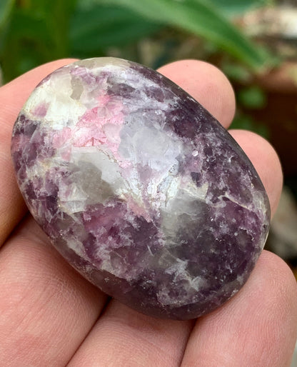 Lépidolite (Mica violet) avec Tourmaline Rubelitte - Galet de 48 mm x 36 x 18 - de 47,7 grammes, superbe pièce !