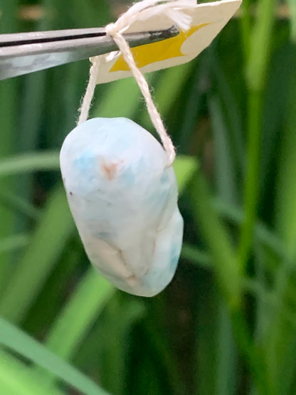 Larimar, pendentif en pierre naturelle à percement latéral. De 27 mm de hauteur x 16 de largeur x 14 d'épaisseur. Vendu avec cordon noir réglable !