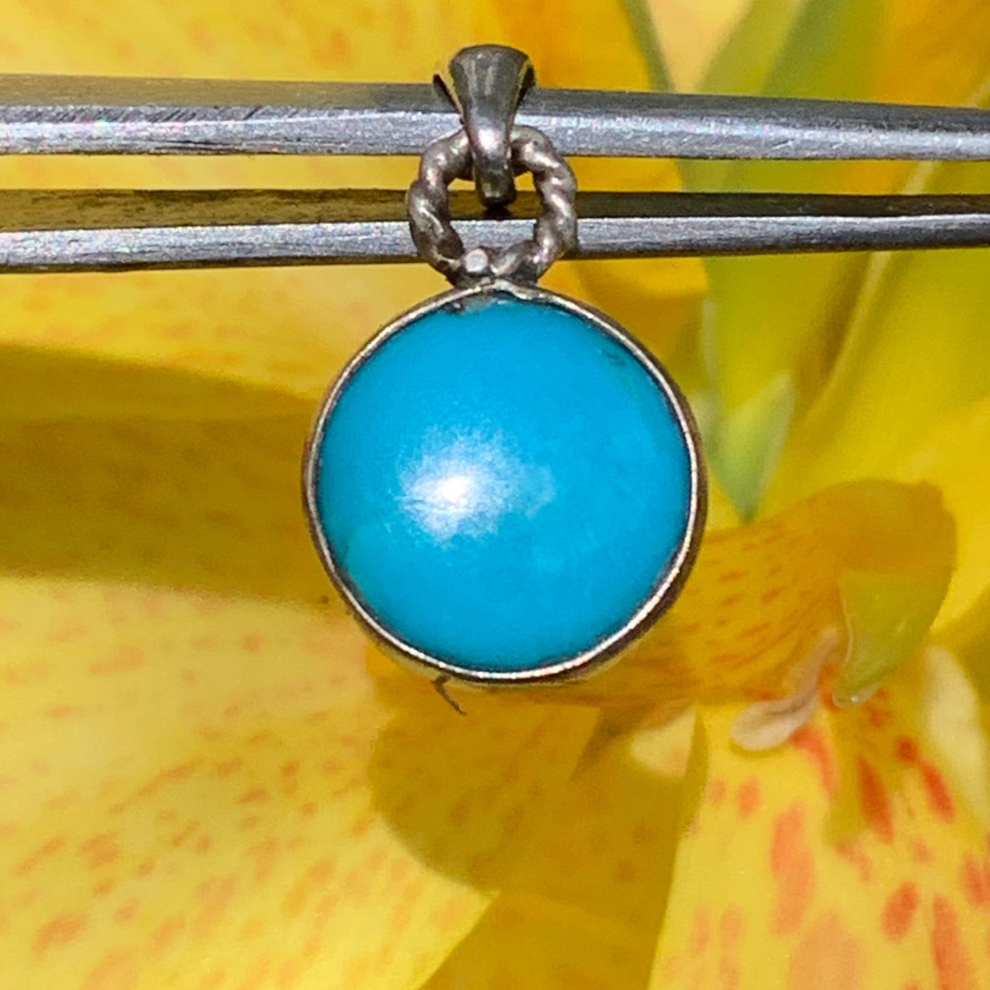Turquoise des U.S.A ! Pendentif en Argent 925 de 22mm de hauteur x 12 de largeur x 4 d'épaisseur. Vendu avec cordon réglable de couleur noire !