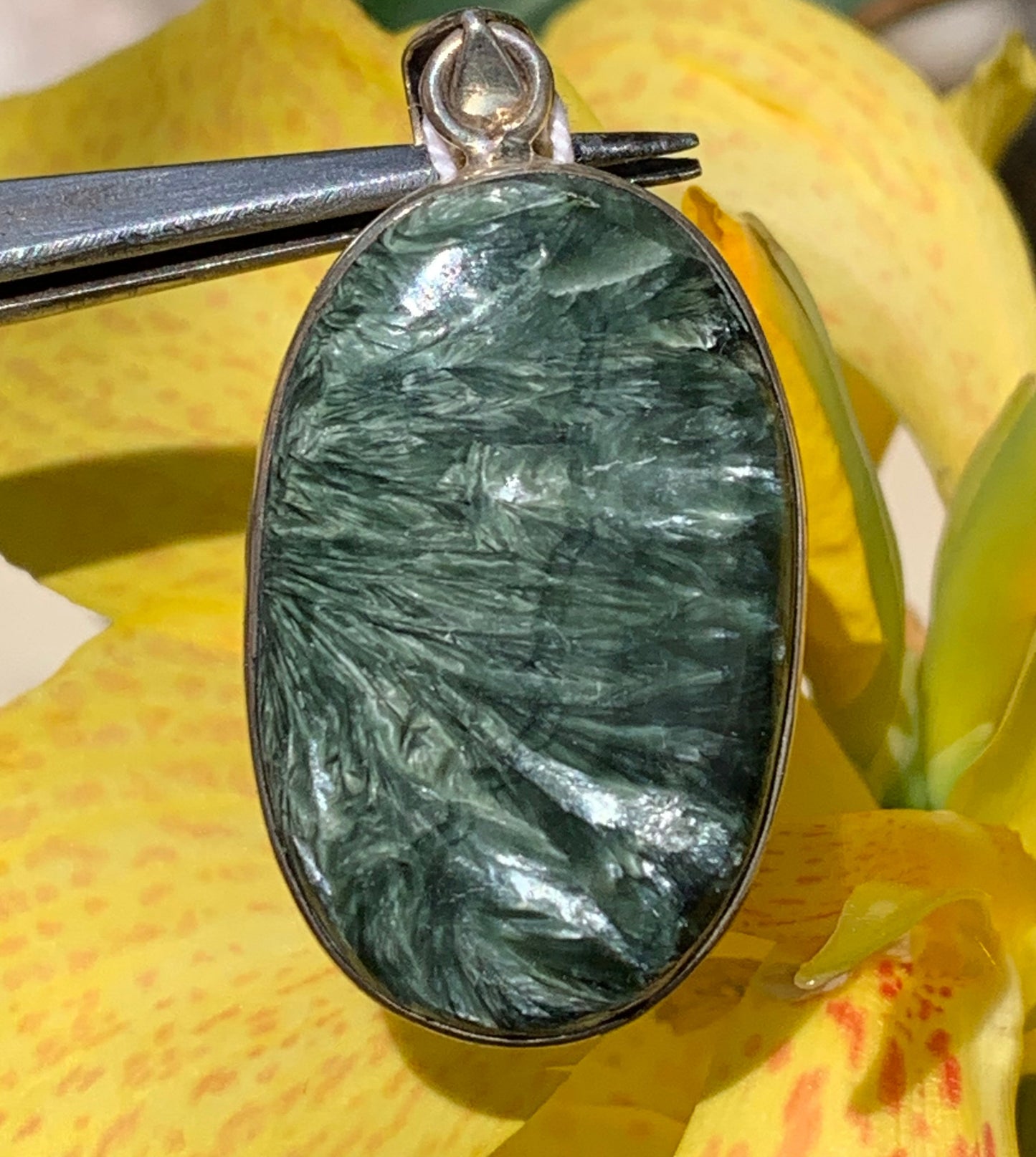 Séraphinite ! Pendentif en Argent 925 de 48mm de hauteur x 22 de largeur x 8 d'épaisseur. Vendu avec cordon réglable de couleur noire !