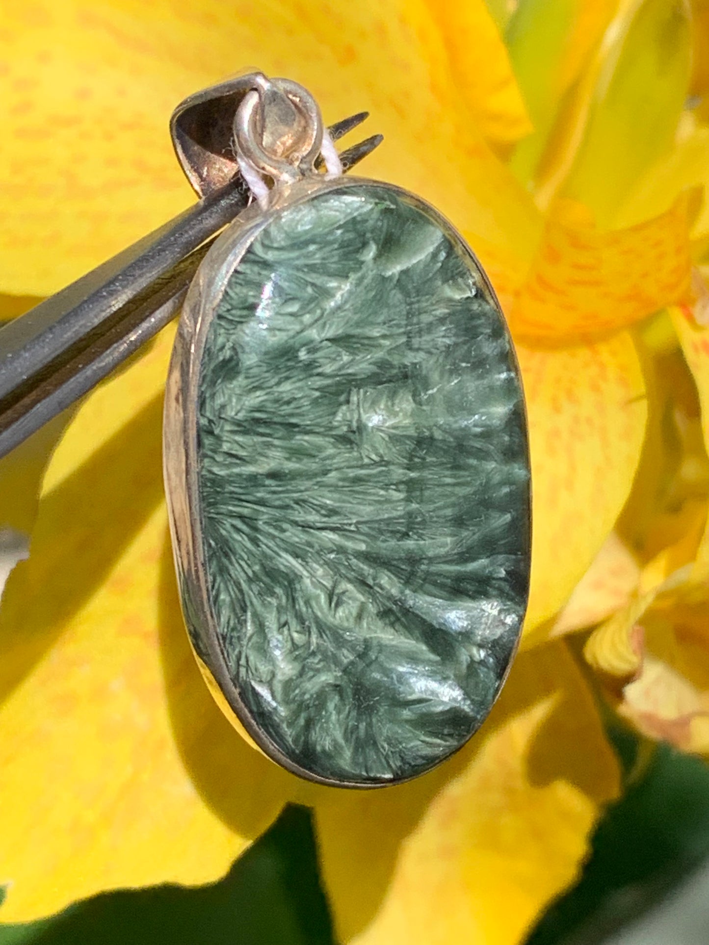 Séraphinite ! Pendentif en Argent 925 de 48mm de hauteur x 22 de largeur x 8 d'épaisseur. Vendu avec cordon réglable de couleur noire !