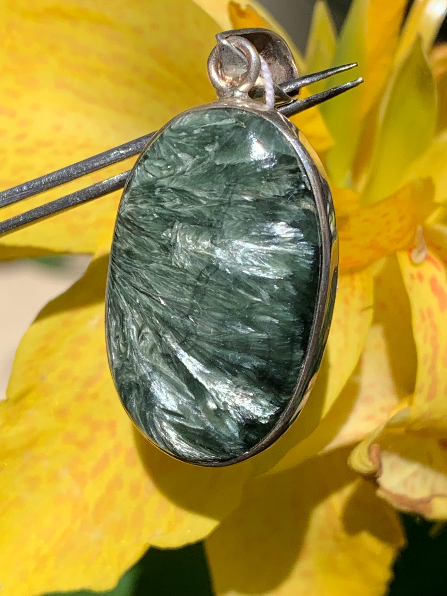 Séraphinite ! Pendentif en Argent 925 de 48mm de hauteur x 22 de largeur x 8 d'épaisseur. Vendu avec cordon réglable de couleur noire !