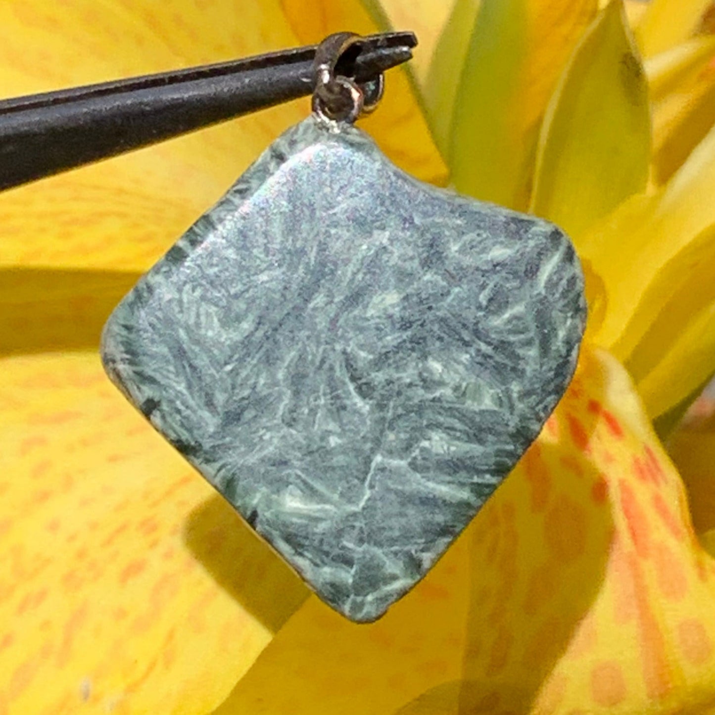 Séraphinite ! Pendentif en Argent 925 de 34mm de hauteur x 26 de largeur x 5 d'épaisseur. Vendu avec cordon réglable de couleur noire !