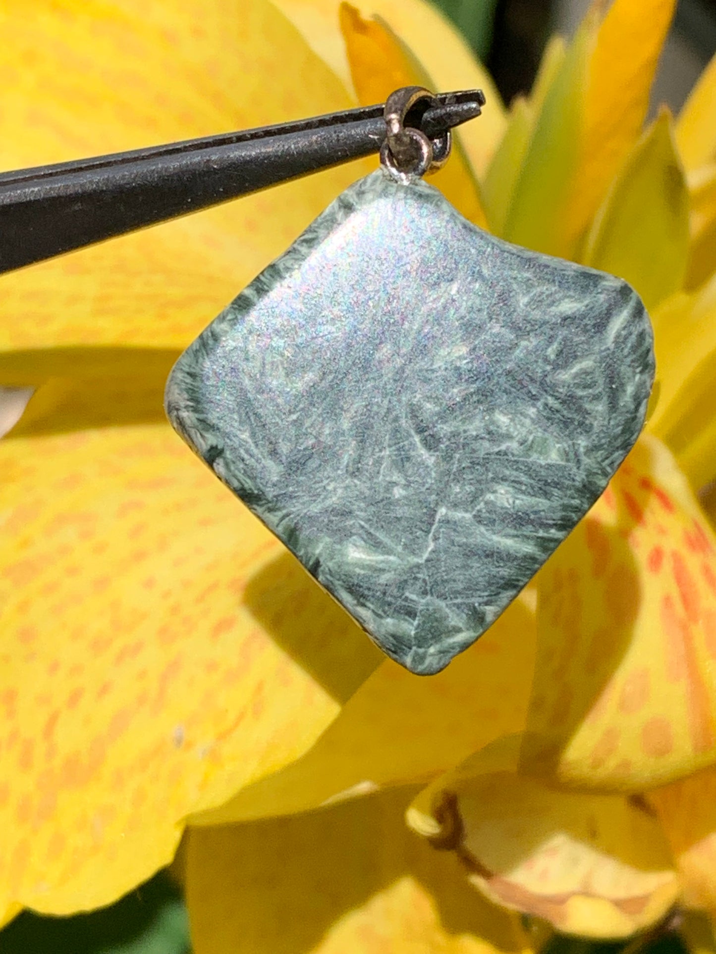 Séraphinite ! Pendentif en Argent 925 de 34mm de hauteur x 26 de largeur x 5 d'épaisseur. Vendu avec cordon réglable de couleur noire !