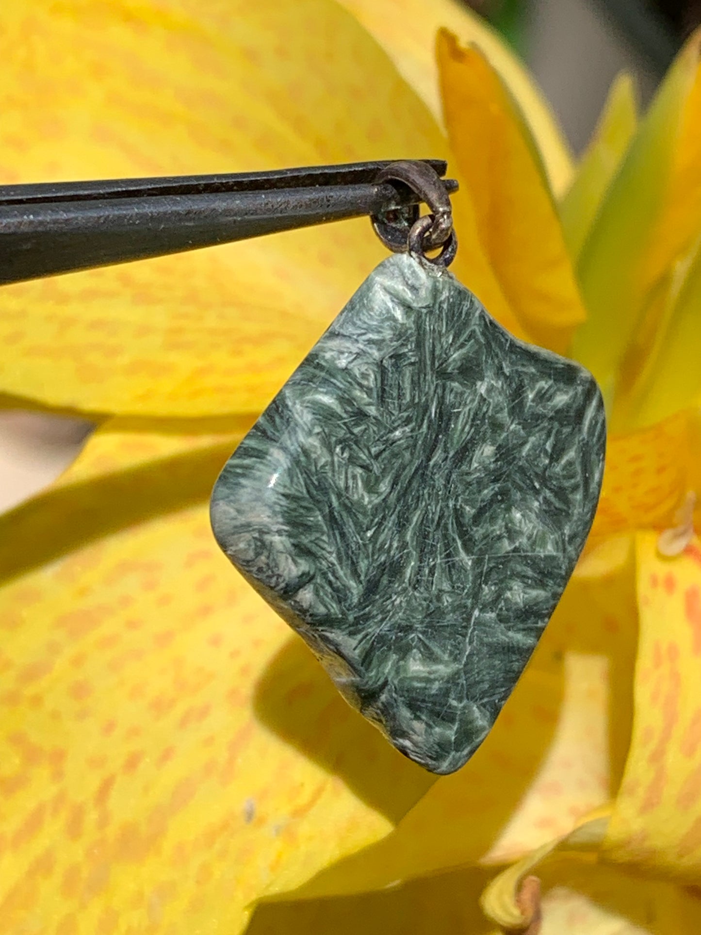 Séraphinite ! Pendentif en Argent 925 de 34mm de hauteur x 26 de largeur x 5 d'épaisseur. Vendu avec cordon réglable de couleur noire !