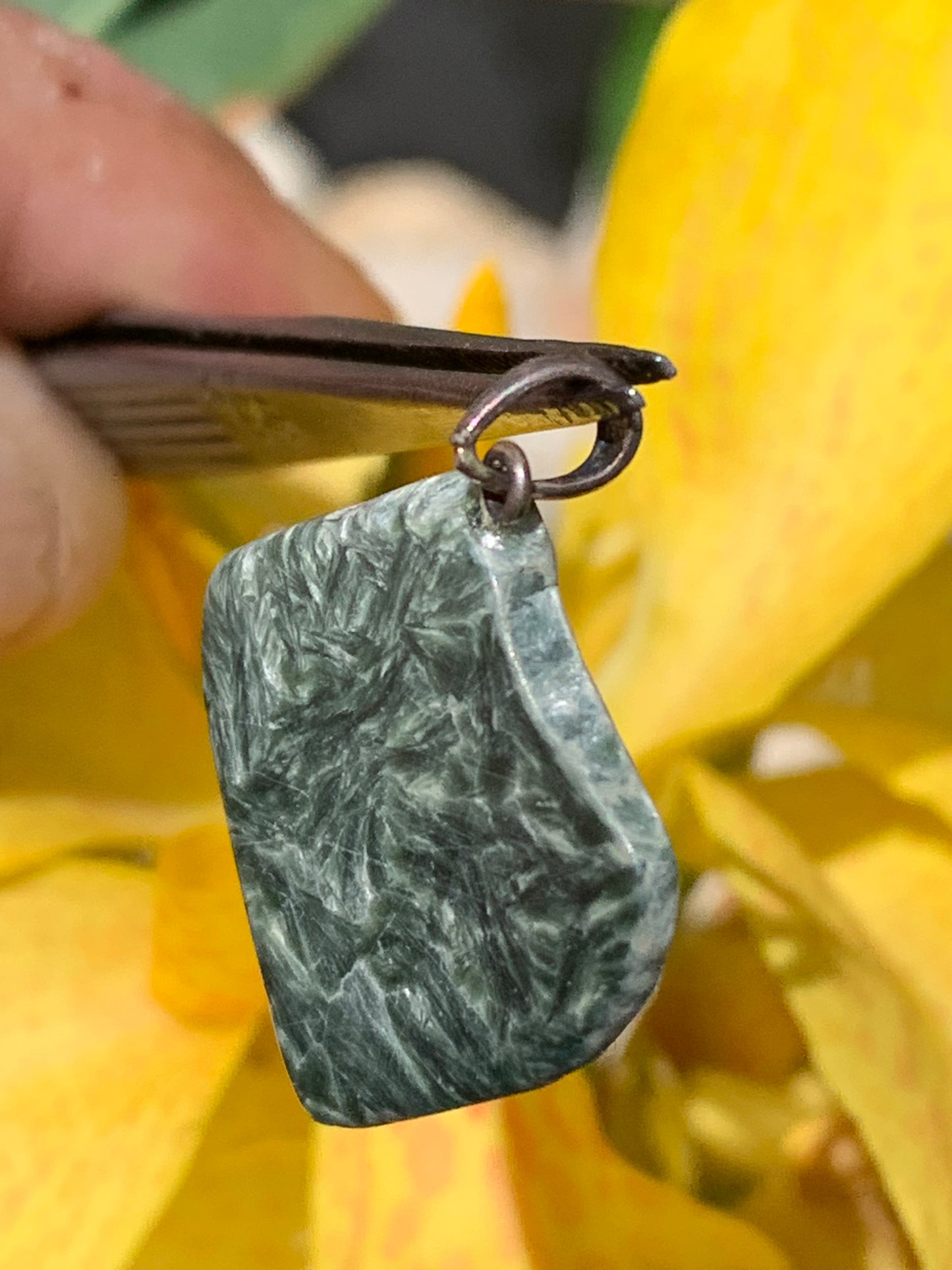 Séraphinite ! Pendentif en Argent 925 de 34mm de hauteur x 26 de largeur x 5 d'épaisseur. Vendu avec cordon réglable de couleur noire !