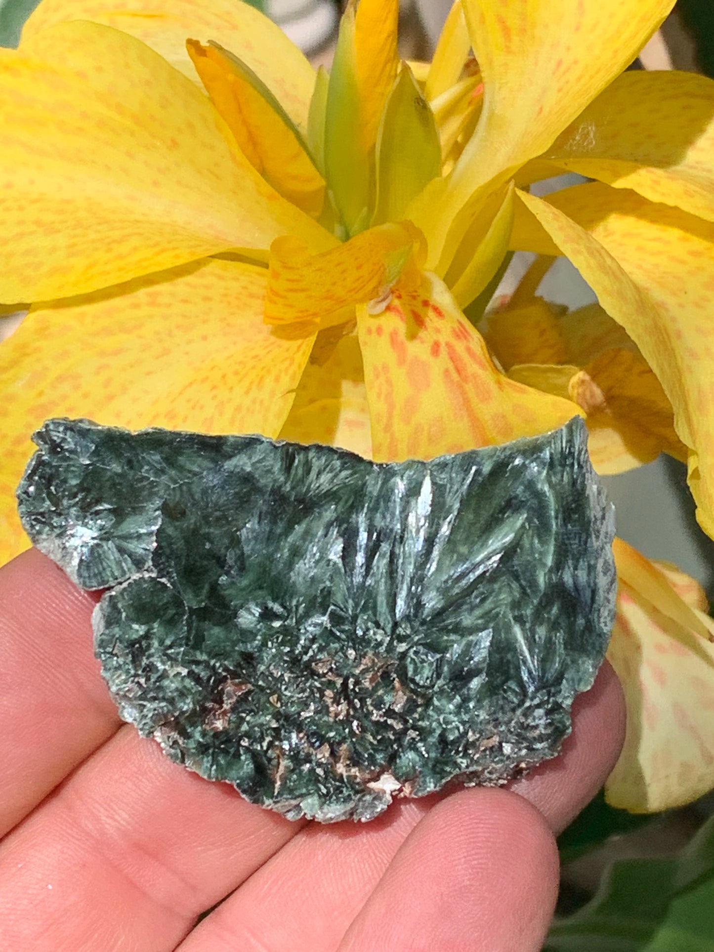 Séraphinite, spécimen avec 1 face polie et 1 face brute de 60mm de hauteur x 37 de largeur x 10 d'épaisseur. Superbe pièce pour bijouterie ou collection !
