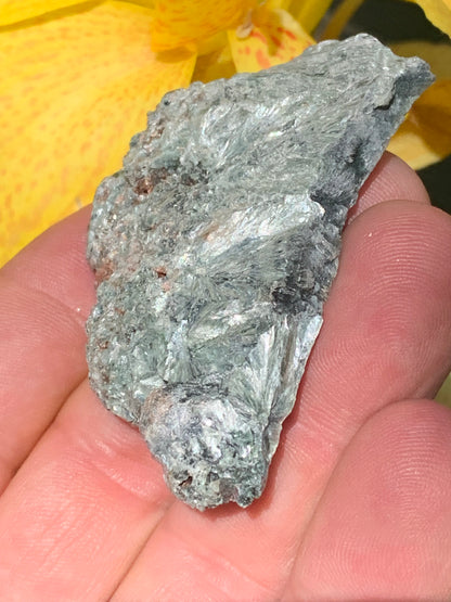Séraphinite, spécimen avec 1 face polie et 1 face brute de 60mm de hauteur x 37 de largeur x 10 d'épaisseur. Superbe pièce pour bijouterie ou collection !