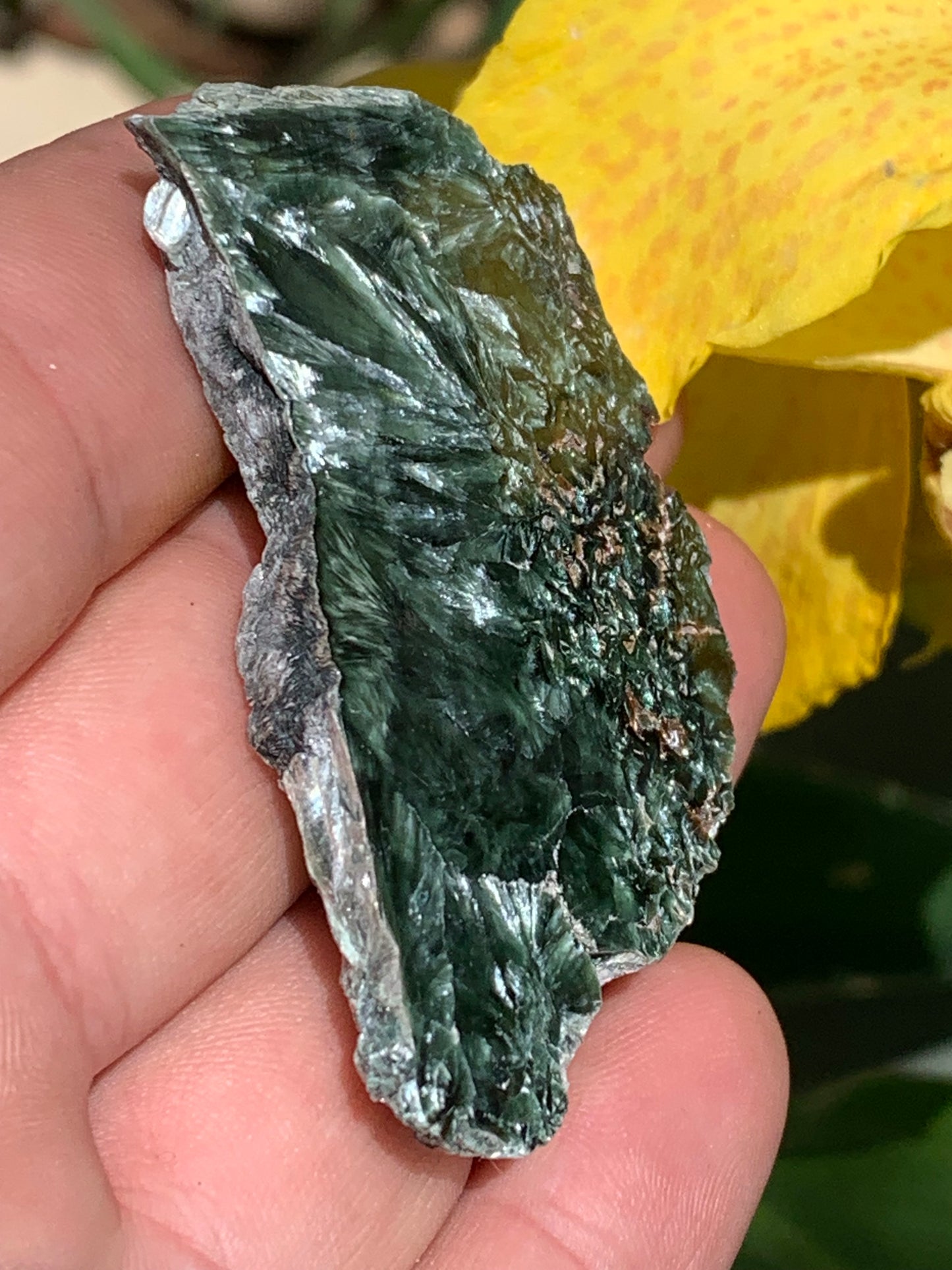 Séraphinite, spécimen avec 1 face polie et 1 face brute de 60mm de hauteur x 37 de largeur x 10 d'épaisseur. Superbe pièce pour bijouterie ou collection !