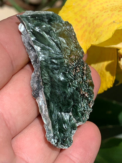 Séraphinite, spécimen avec 1 face polie et 1 face brute de 60mm de hauteur x 37 de largeur x 10 d'épaisseur. Superbe pièce pour bijouterie ou collection !