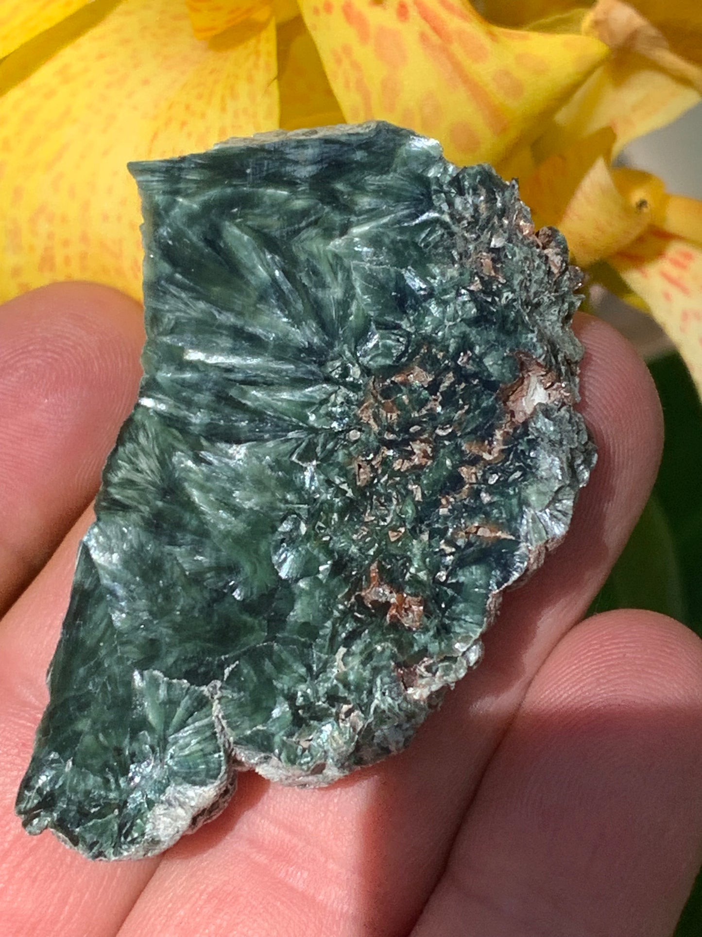 Séraphinite, spécimen avec 1 face polie et 1 face brute de 60mm de hauteur x 37 de largeur x 10 d'épaisseur. Superbe pièce pour bijouterie ou collection !