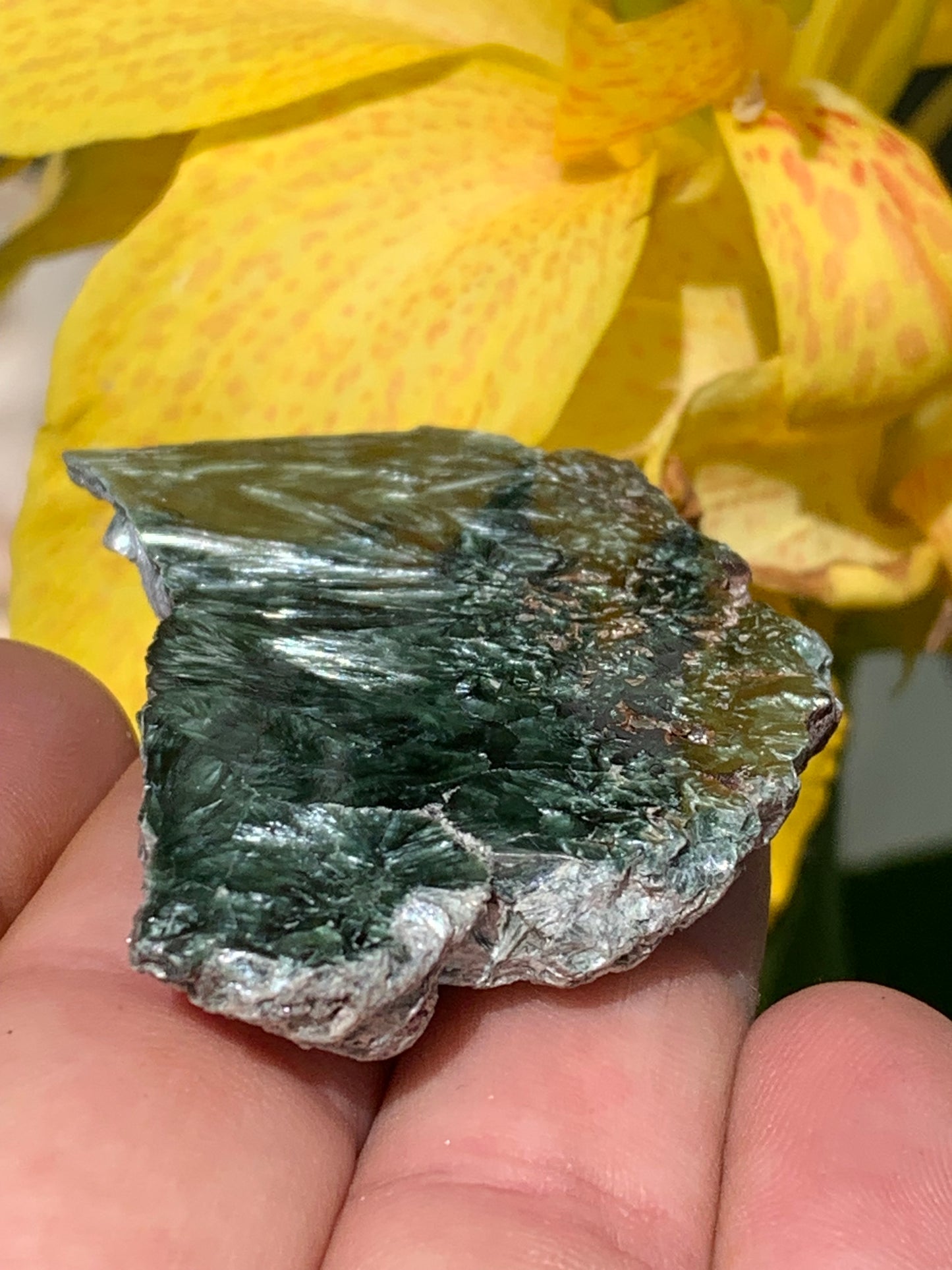 Séraphinite, spécimen avec 1 face polie et 1 face brute de 60mm de hauteur x 37 de largeur x 10 d'épaisseur. Superbe pièce pour bijouterie ou collection !
