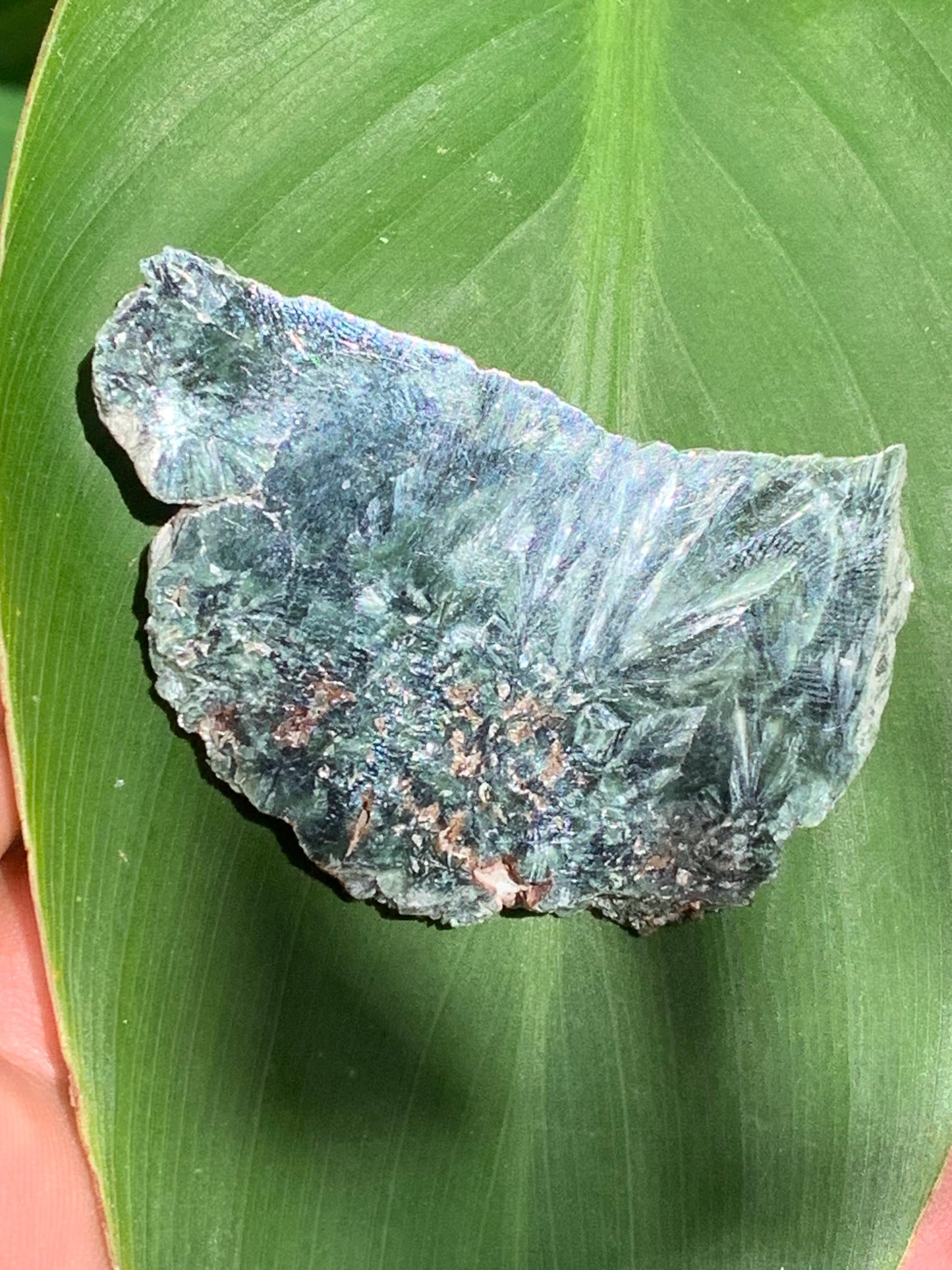 Séraphinite, spécimen avec 1 face polie et 1 face brute de 60mm de hauteur x 37 de largeur x 10 d'épaisseur. Superbe pièce pour bijouterie ou collection !