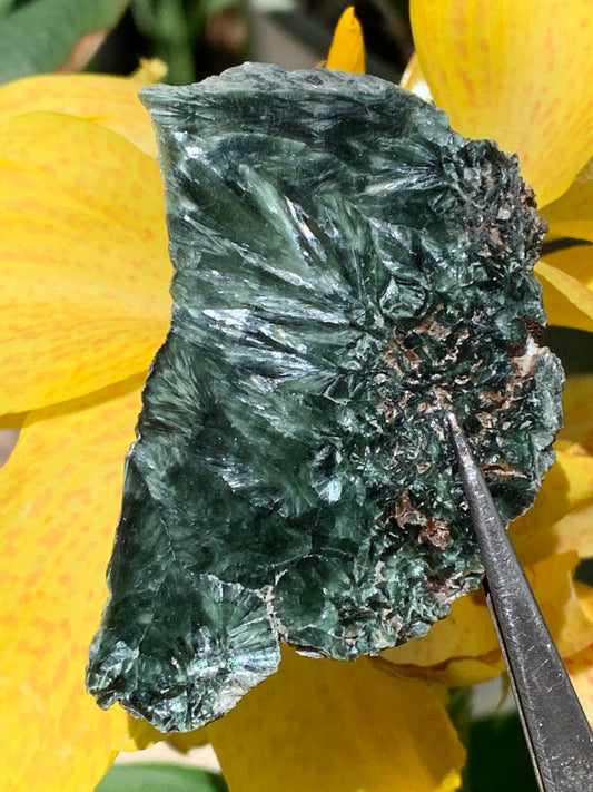 Séraphinite, spécimen avec 1 face polie et 1 face brute de 60mm de hauteur x 37 de largeur x 10 d'épaisseur. Superbe pièce pour bijouterie ou collection !